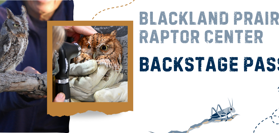 Blackland Prairie Raptor Center Backstage Pass - Monday 12/29/25 11:30am